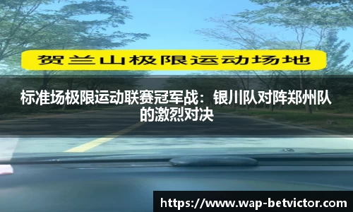 标准场极限运动联赛冠军战：银川队对阵郑州队的激烈对决