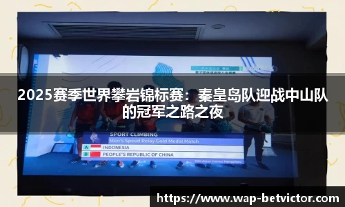 2025赛季世界攀岩锦标赛：秦皇岛队迎战中山队的冠军之路之夜