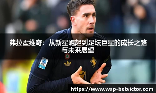 韦德体育平台