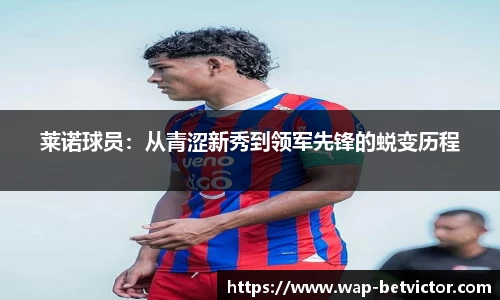韦德体育官网